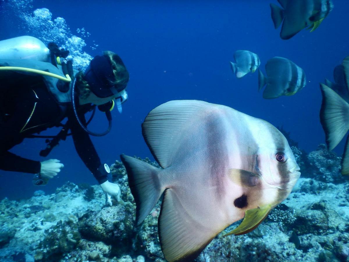 Ithaa Dhigurah Maldives 迪古拉 外观 照片